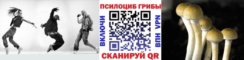 Галлюциногенные грибы Magic Shrooms  Алексин 