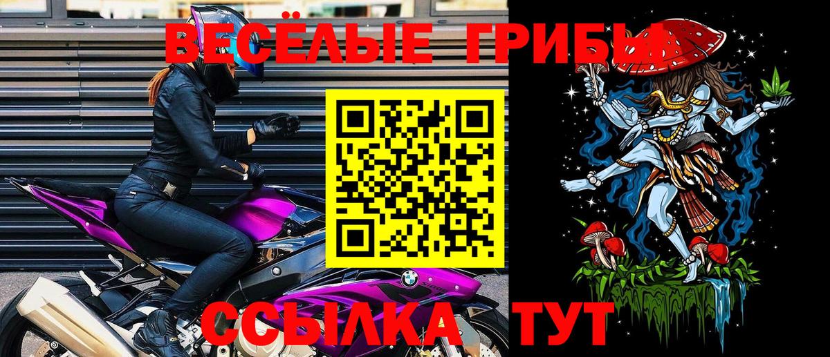 Алексин  Псилоцибиновые грибы ЛСД  Галлюциногенные грибы прущие грибы  Вход с VPN 